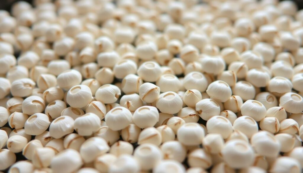 A close-up view of marsh mallow seeds arranged in a meticulous grid pattern, illuminated by soft, diffused lighting that accentuates their delicate, cottony texture. The seeds are nestled in a shallow tray, with a neutral, out-of-focus background that allows the intricate details of the seeds to take center stage. The image conveys a sense of scientific precision and attention to the nuances of plant propagation, reflecting the subject of growing and caring for the marsh mallow plant. A close-up view of marsh mallow seeds arranged in a meticulous grid pattern, illuminated by soft, diffused lighting that accentuates their delicate, cottony texture. The seeds are nestled in a shallow tray, with a neutral, out-of-focus background that allows the intricate details of the seeds to take center stage. The image conveys a sense of scientific precision and attention to the nuances of plant propagation, reflecting the subject of growing and caring for the marsh mallow plant.